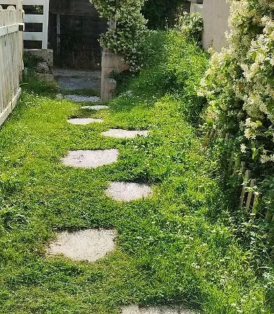 Apartament La Maison Du Saule